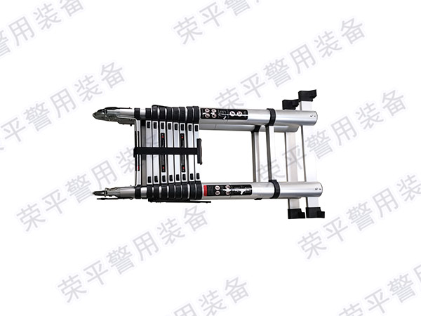 ZDT-RP31 折叠梯